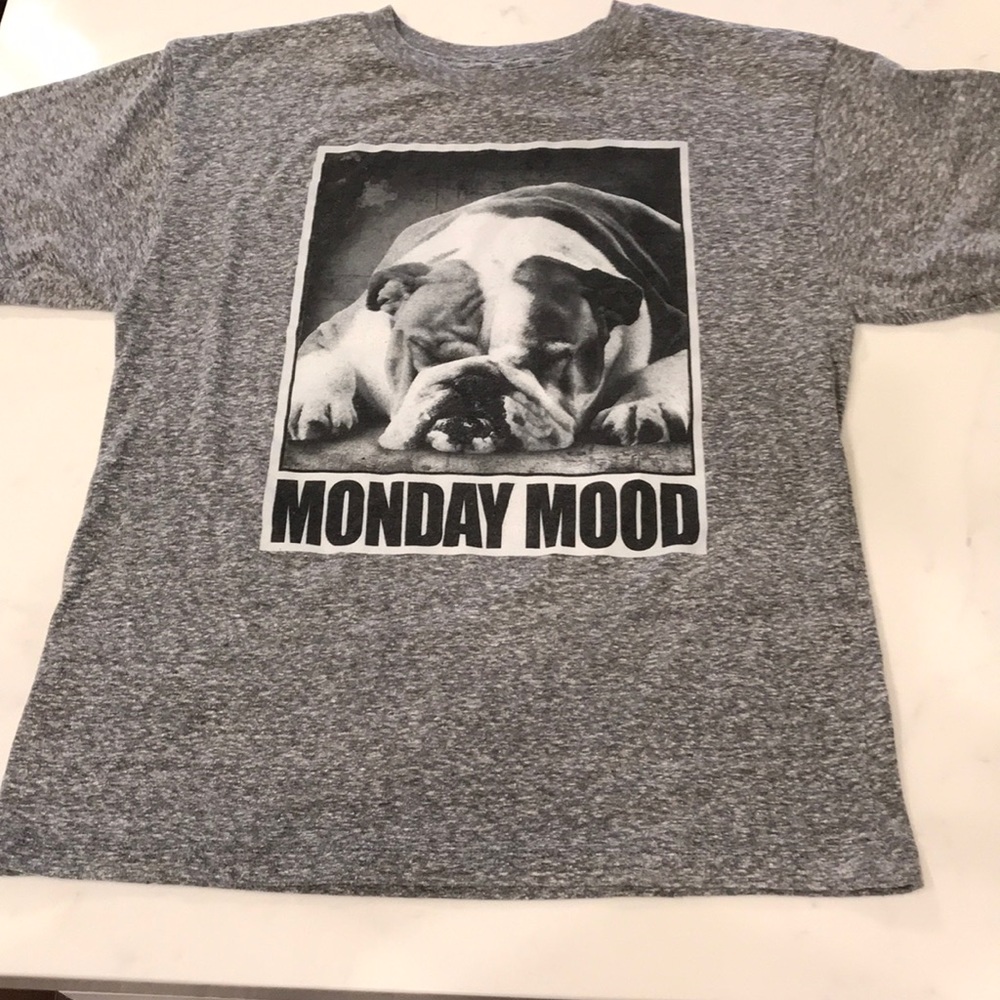 JEM Collective Gray w/Graphic Boys Shirt Size L